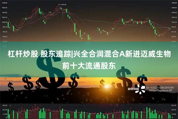 杠杆炒股 股东追踪|兴全合润混合A新进迈威生物前十大流通股东