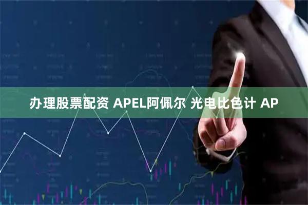 办理股票配资 APEL阿佩尔 光电比色计 AP
