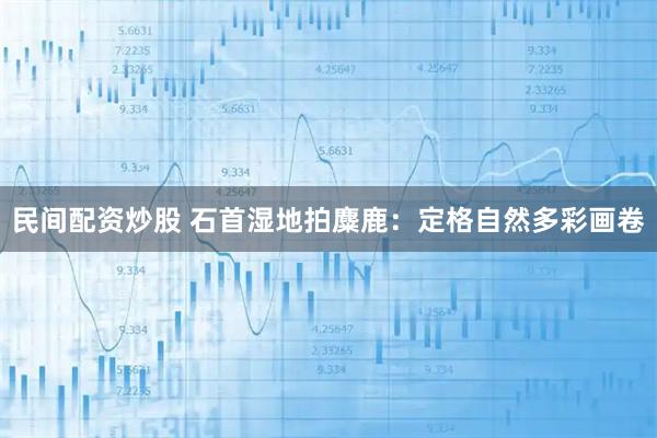 民间配资炒股 石首湿地拍麋鹿：定格自然多彩画卷